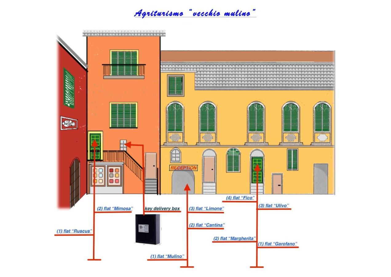 Agriturismo Il Vecchio Mulino Terzorio Exterior foto
